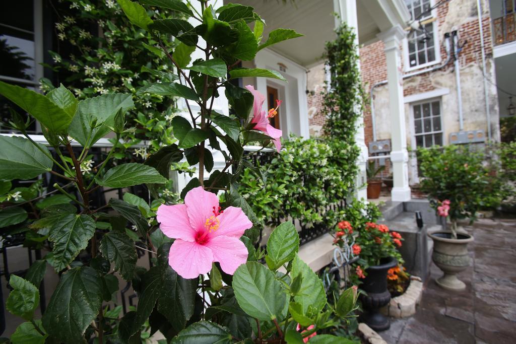 Bed and Breakfast Fleur De Lis Mansion Nowy Orlean Zewnętrze zdjęcie