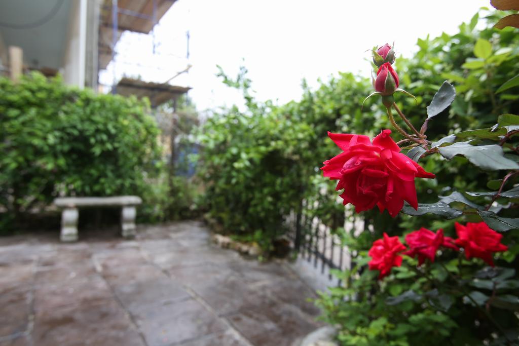 Bed and Breakfast Fleur De Lis Mansion Nowy Orlean Zewnętrze zdjęcie